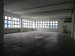 Trivex (D13), Factory #464487371